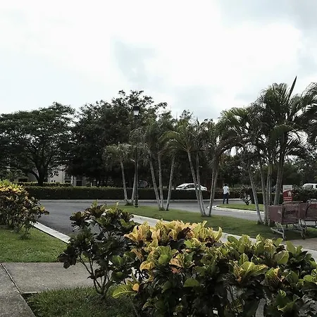 Oasis