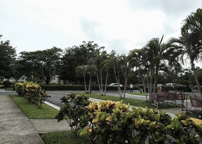 Oasis Liberia